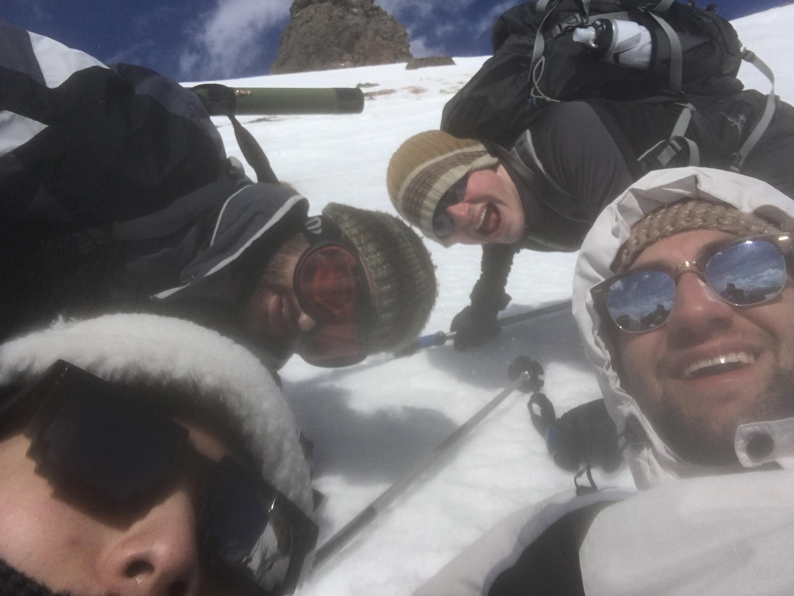 Falling over to the 40+ mph winds at the top.