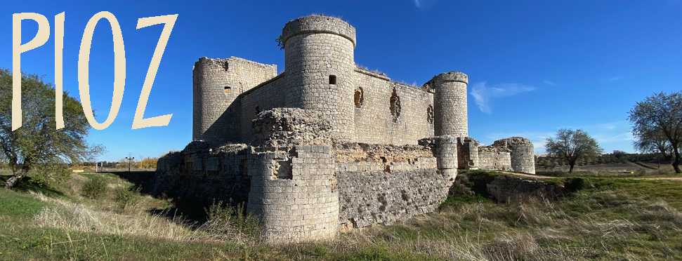 castillo de pioz