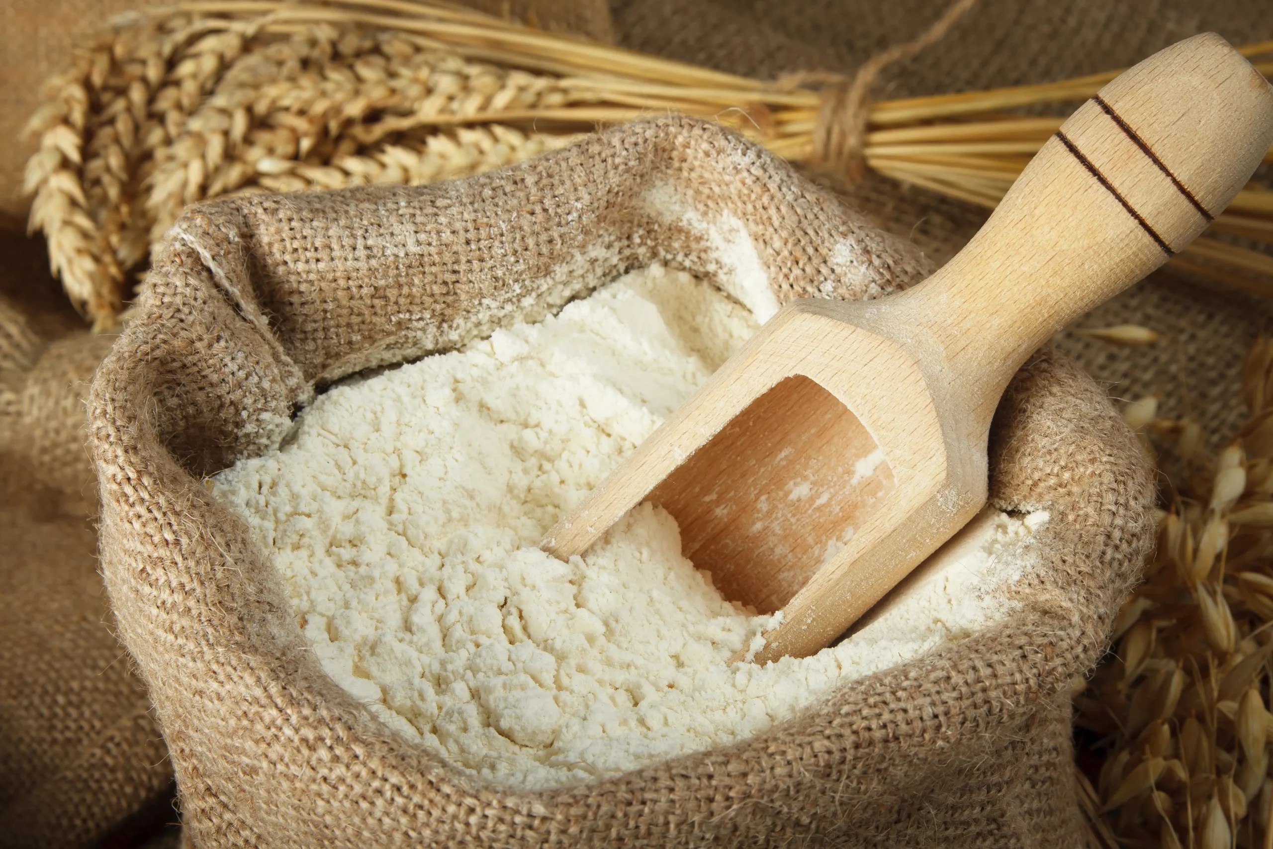 FLOUR 01