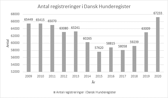 Dansk hvalpeskole lanceres efter rekordhundeår