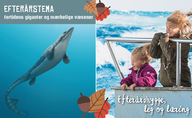 Nordsøen Oceanarium lægger op til efterårshygge