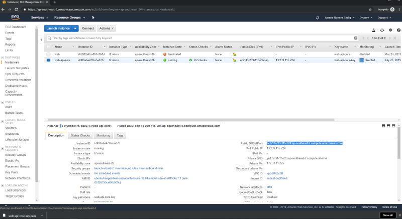 Deploying Dotnet Core On Aws Linux - Premium Colorful Art Gallery - Full HD