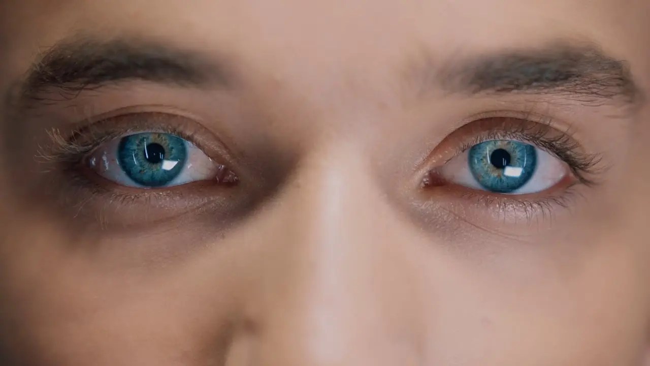 8 Letters/Why Don’t We 歌詞和訳と意味