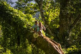 આપણી સૌ વાત બાકી રહી ~ કટાર: અર્ઝ કિયા હૈ ~ હિતેન આનંદપરા ~ ગુજરાતી મિડ-ડે