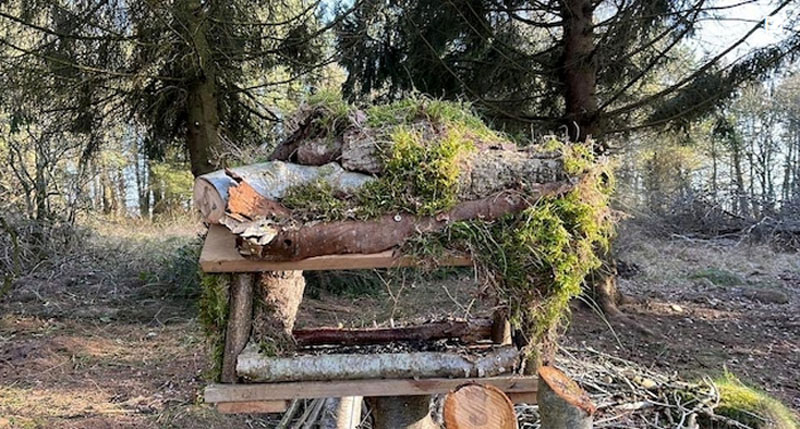 Byg dit eget unikke fuglefoderbræt