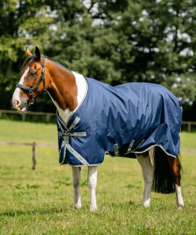 Amigo 1200D Turnout – 50 gram