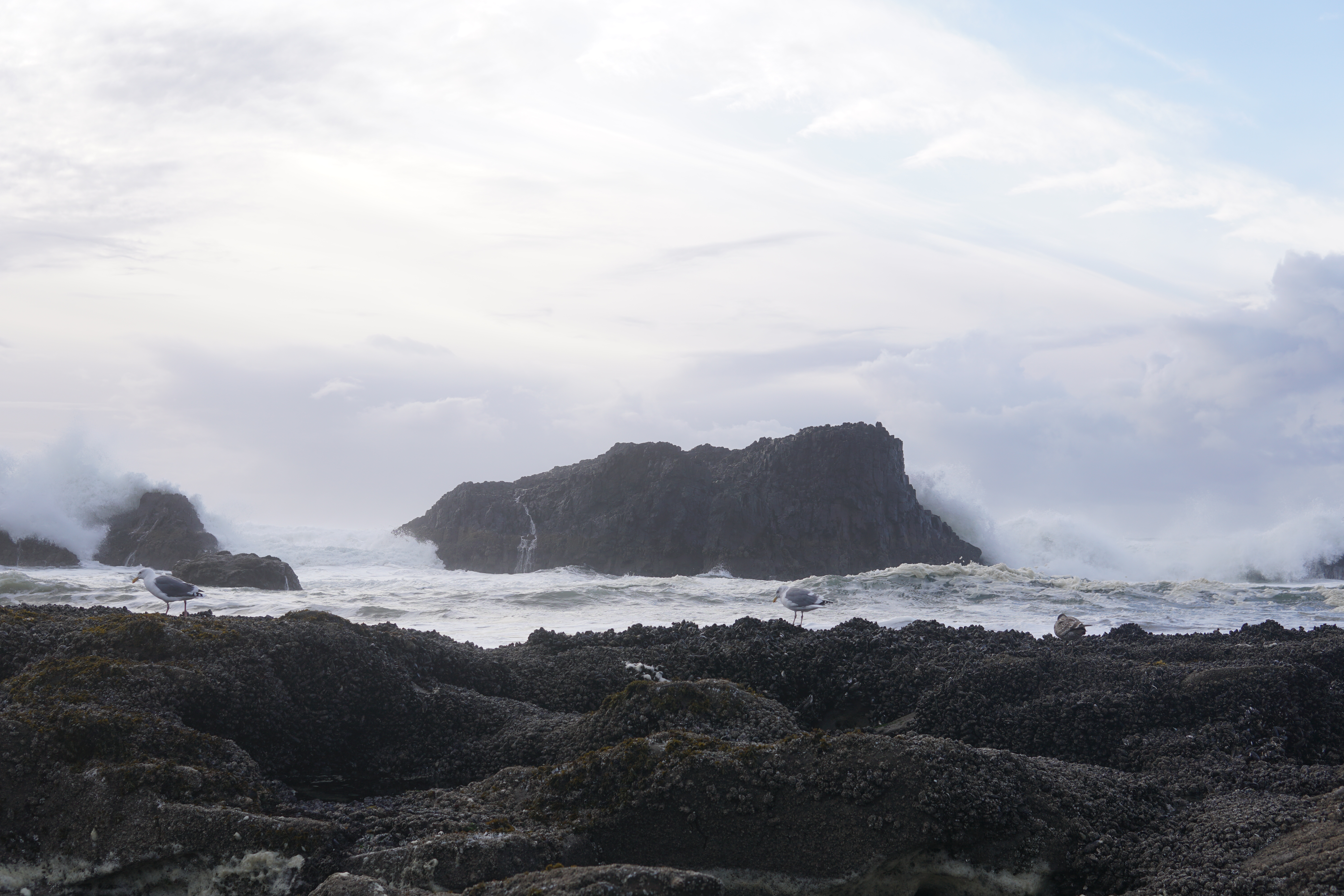 Waves Crash over Seal Rock