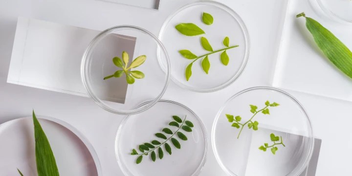 environment science