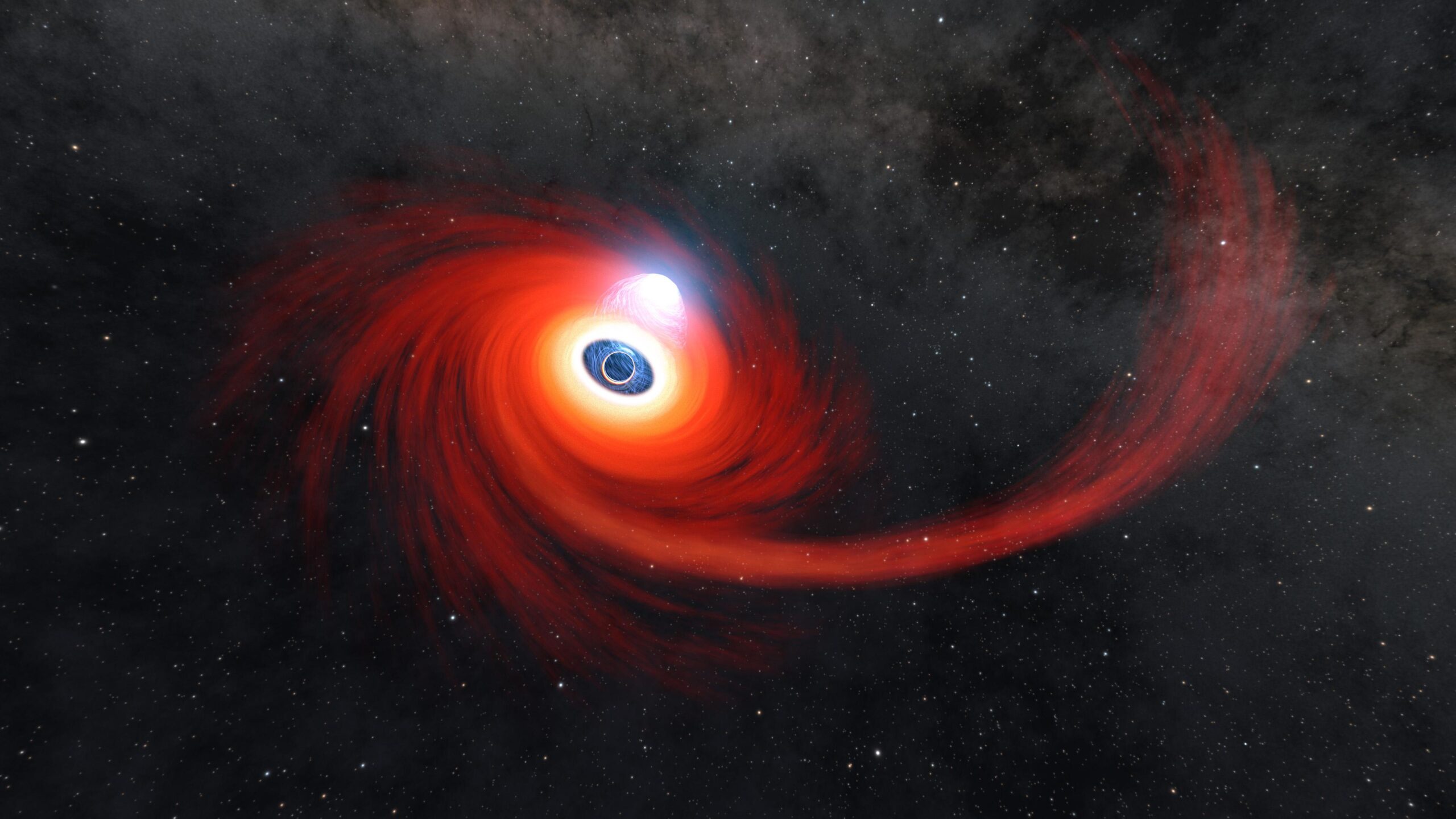 A new theory for little red dots: shredded stars feeding growing black