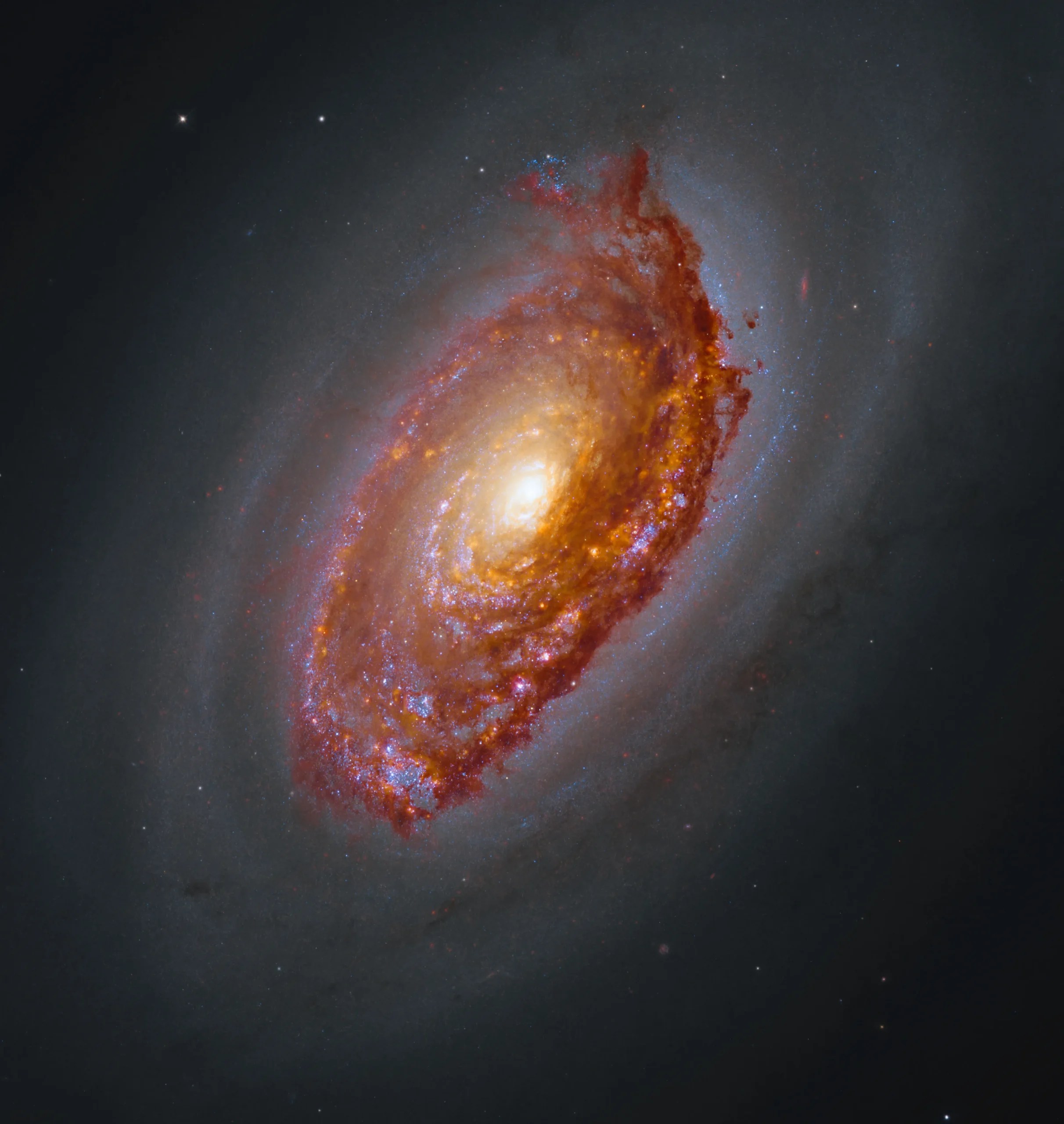 Unveiling the Milky Way's Origins: Dating the Birth of Our Galaxy's Disk (2026)