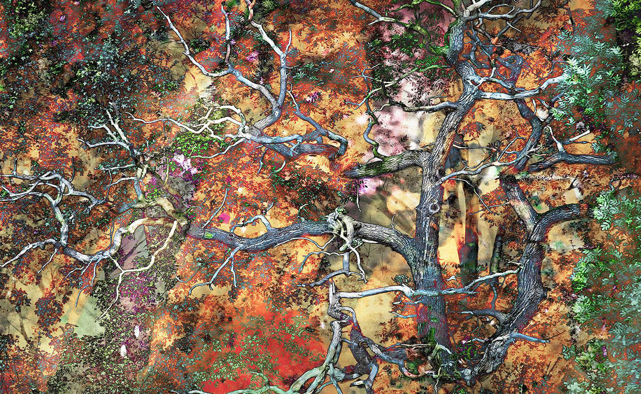 Martin B: A Multifaceted Artist From Poland