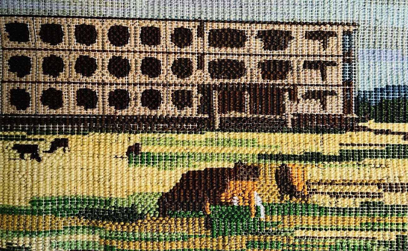 Anna Novakov: Weaving Tales of Transcontinental Existence
