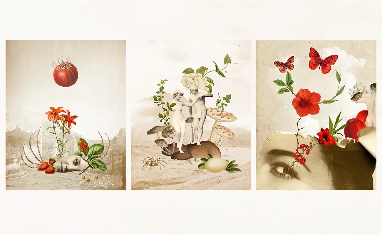 Nikola Gocic: Bridging Realms Through Digital Collage