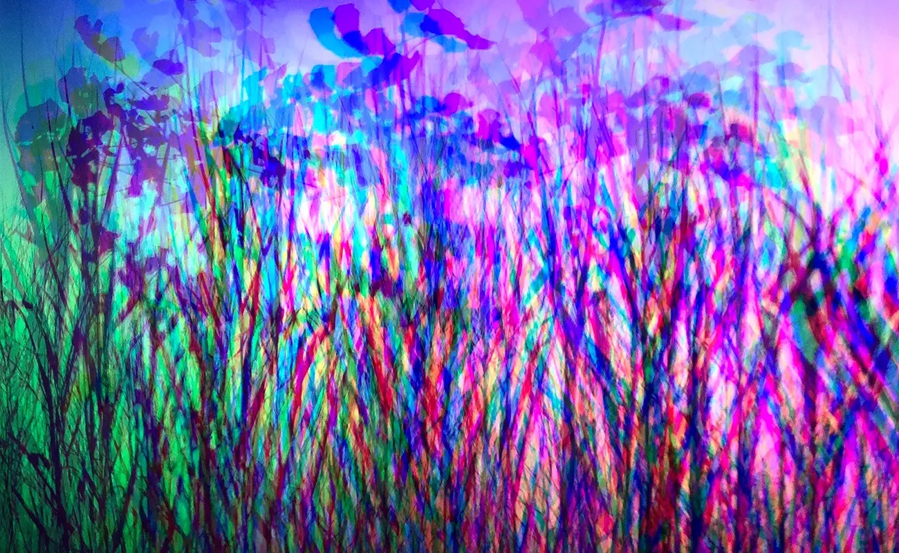 Die DNA des Lichtes: Painting with Light, Living Through Color