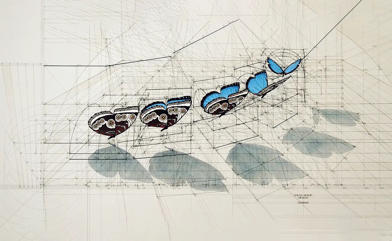 Rafael Araujo: Drawing the Invisible Logic of Nature