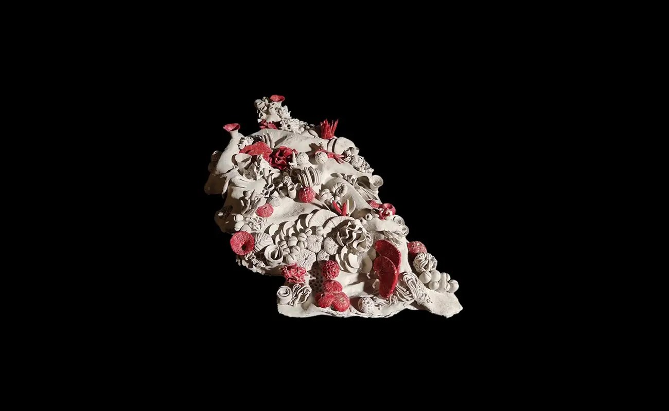 Christiana Fraise: The Memory That Builds Itself