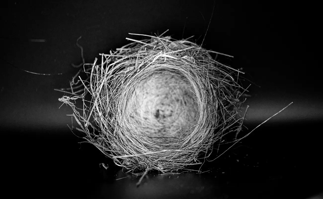 Michaela Foreman: The Poetry of Ordinary Rural Days