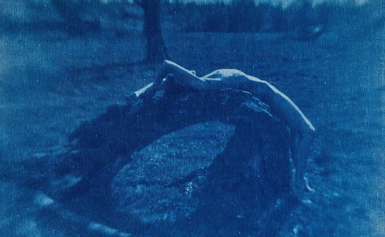 Tata Dayneko: Threads of Light and Memory