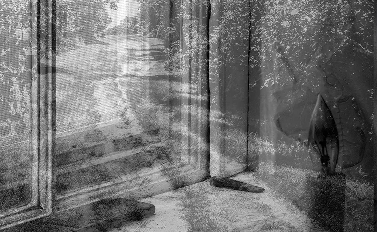 Ariel Swartley: Landscapes of Loss and Reinvention