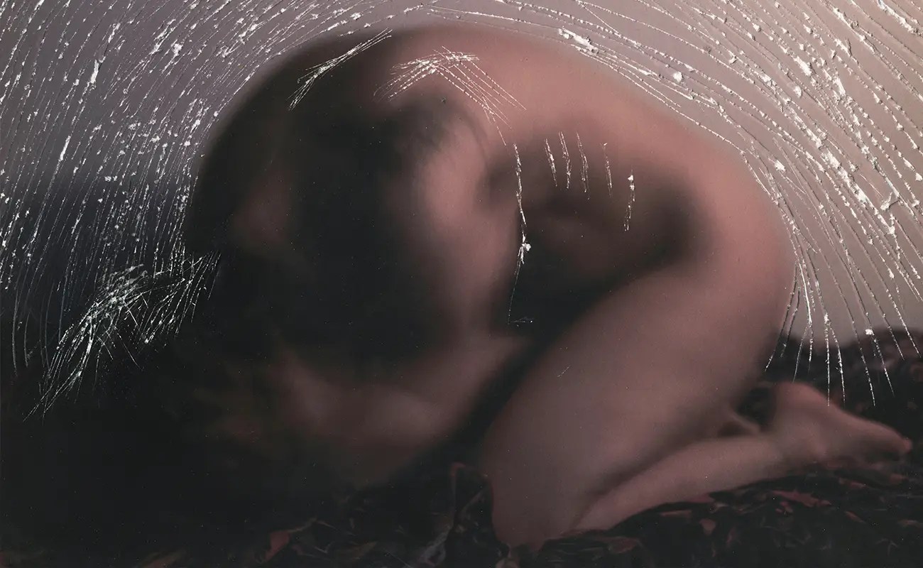 Marion Pons Koch: Anatomy of the Unseen