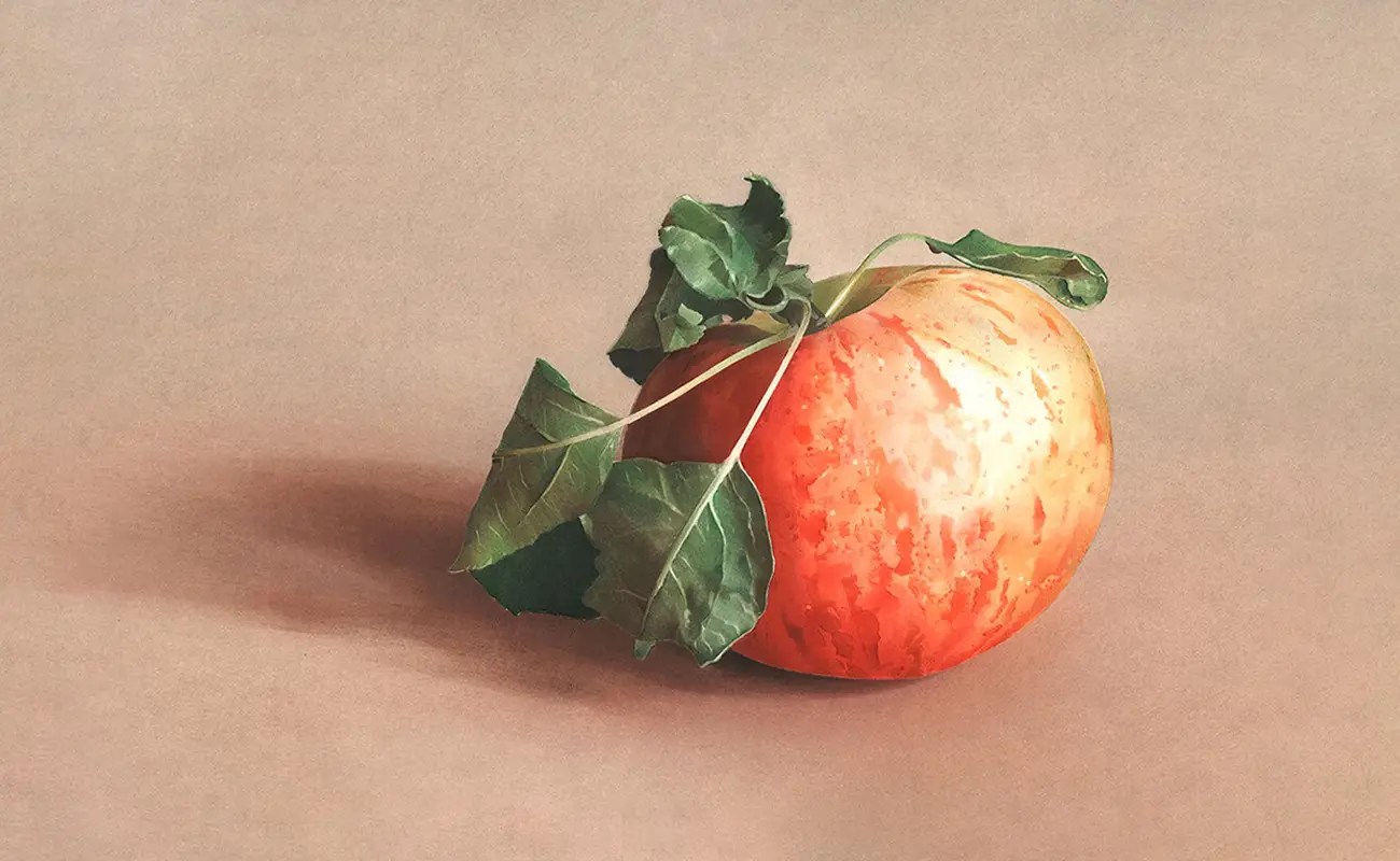 Anna Roberts: The Quiet Intensity of Looking Closely