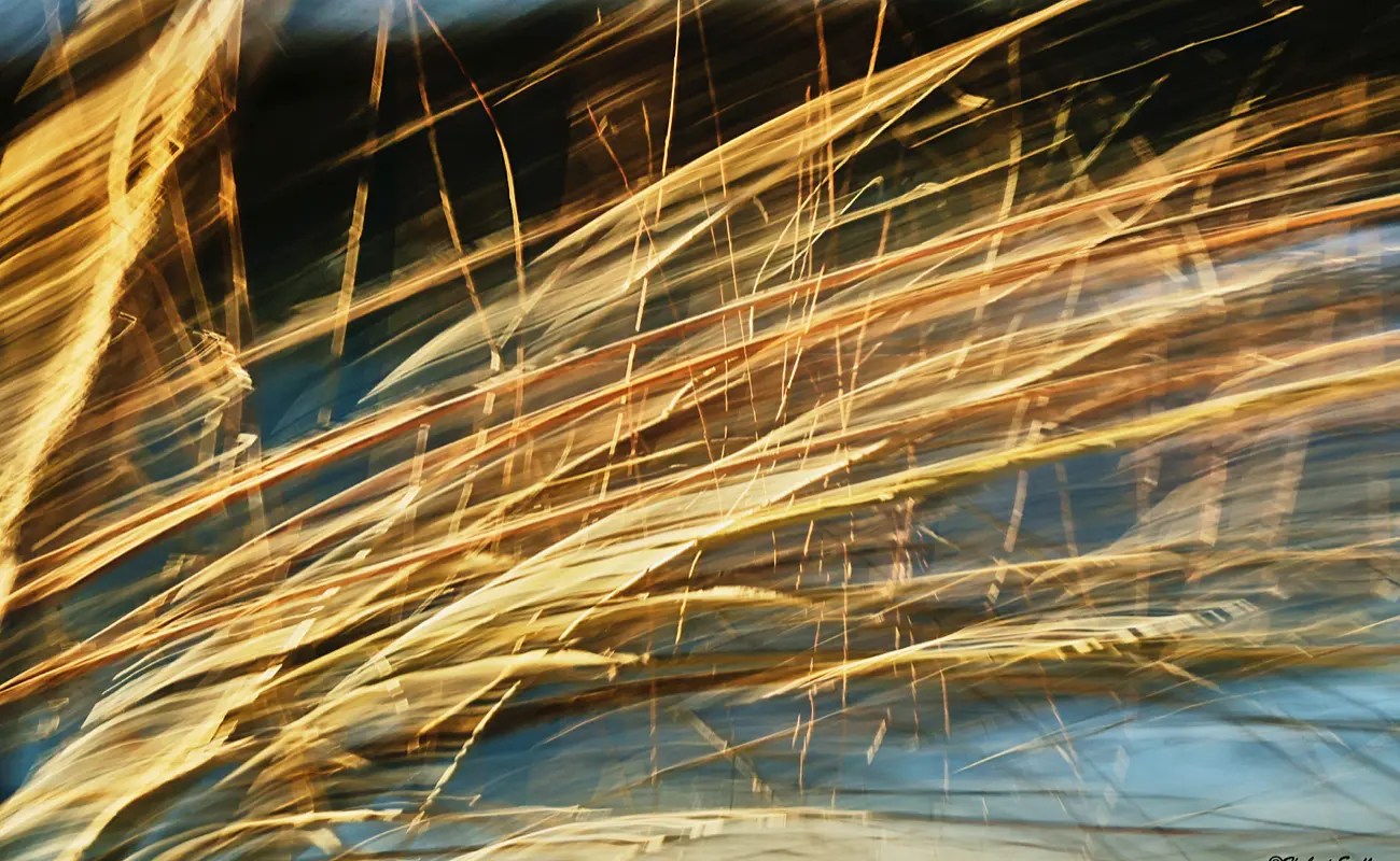 Hubert Endl: When the Camera Learns to Paint