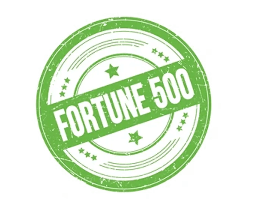 Fortune 500