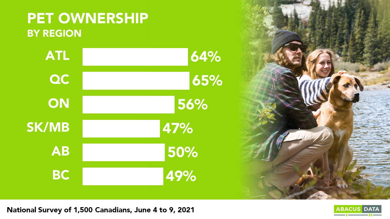 Are Cats Better Than Dogs Poll