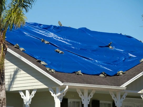 Heavy-duty tarps built for extreme conditions and industrial use.