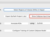 Annotate Regions Of Interest Cellpose Training Gui Documentation