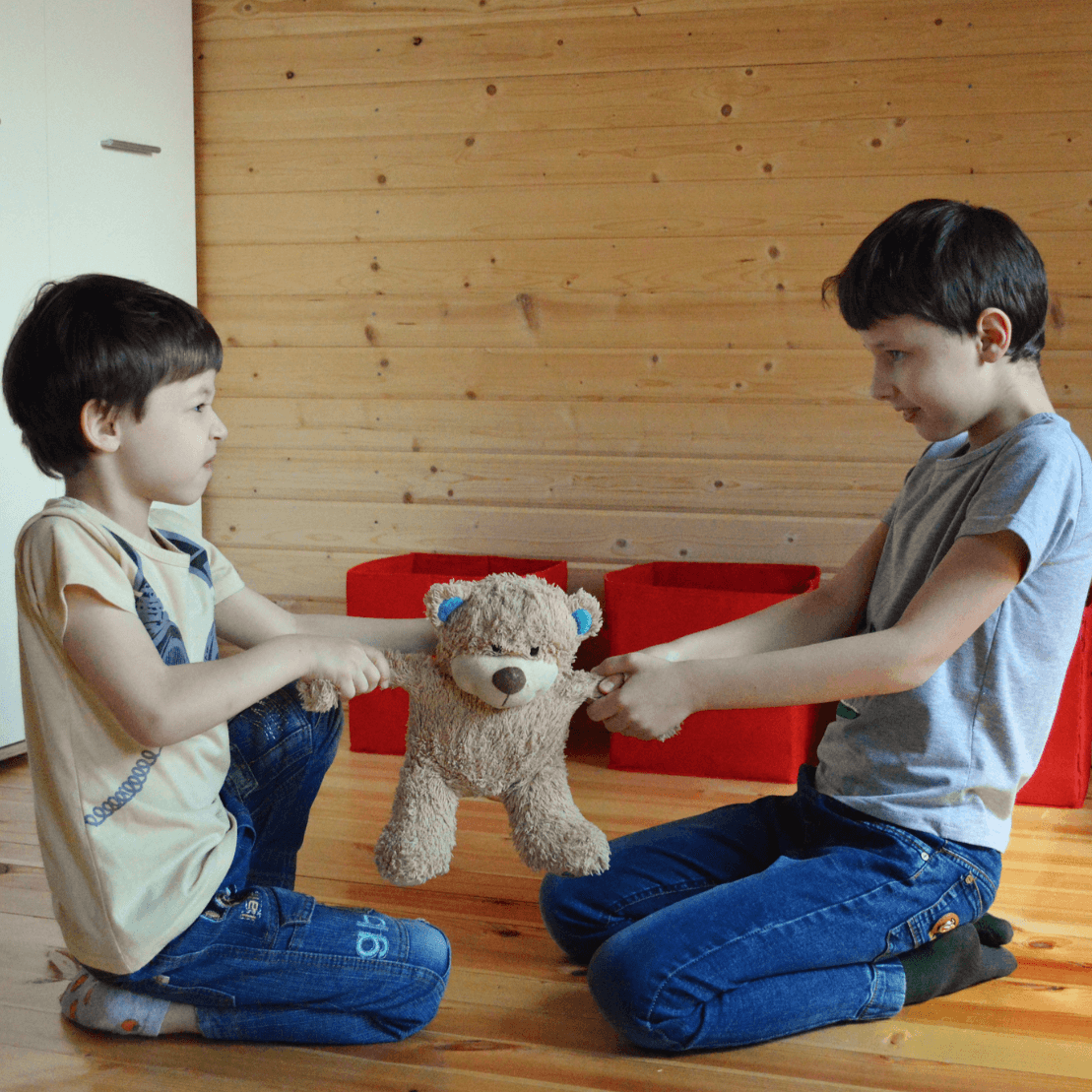 functions of behavior access