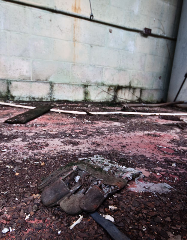 East Everglades Antennae Remains | Photo © 2009 Bullet, 2009