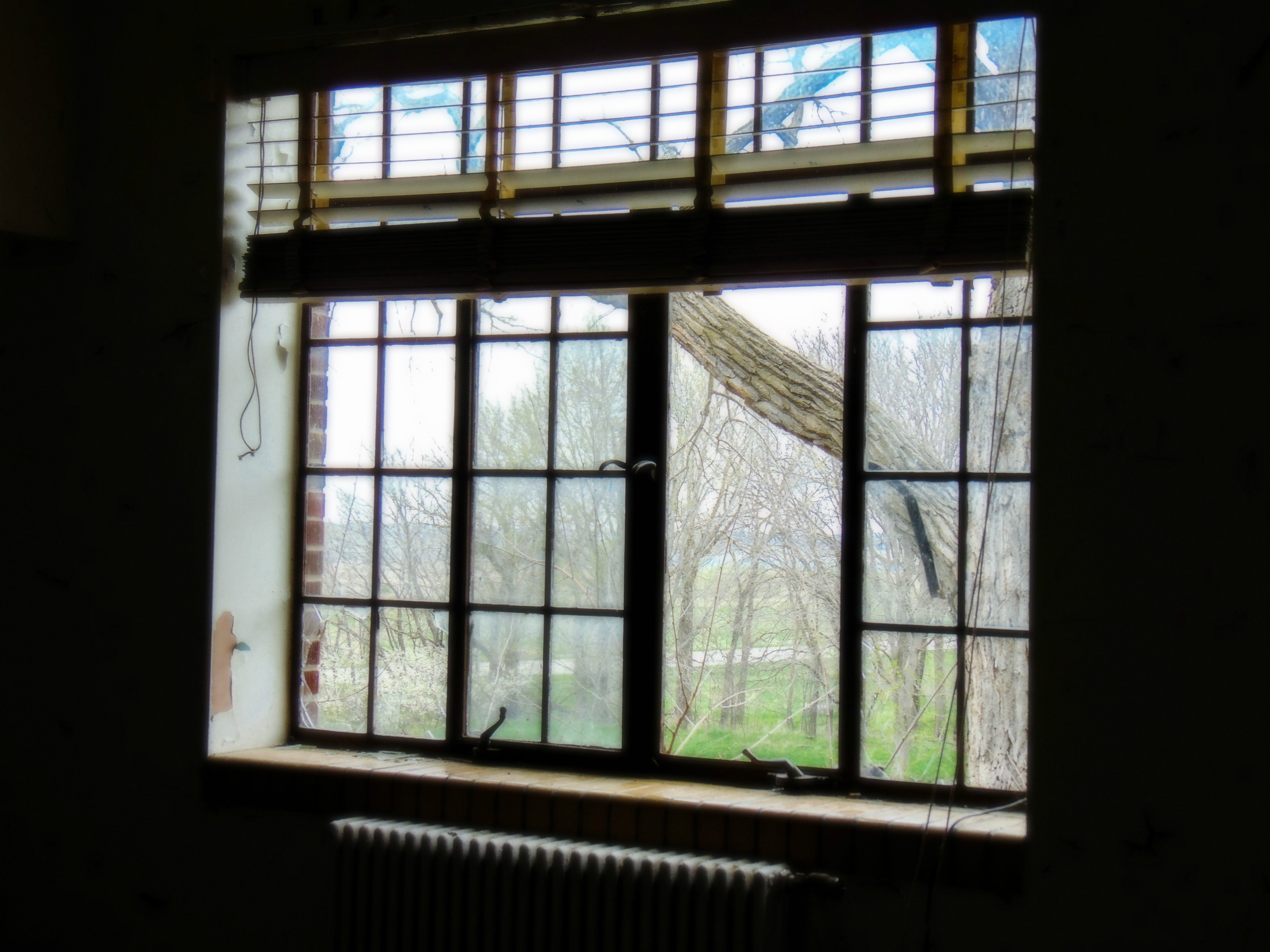 Norfolk Regional Center-Eklund