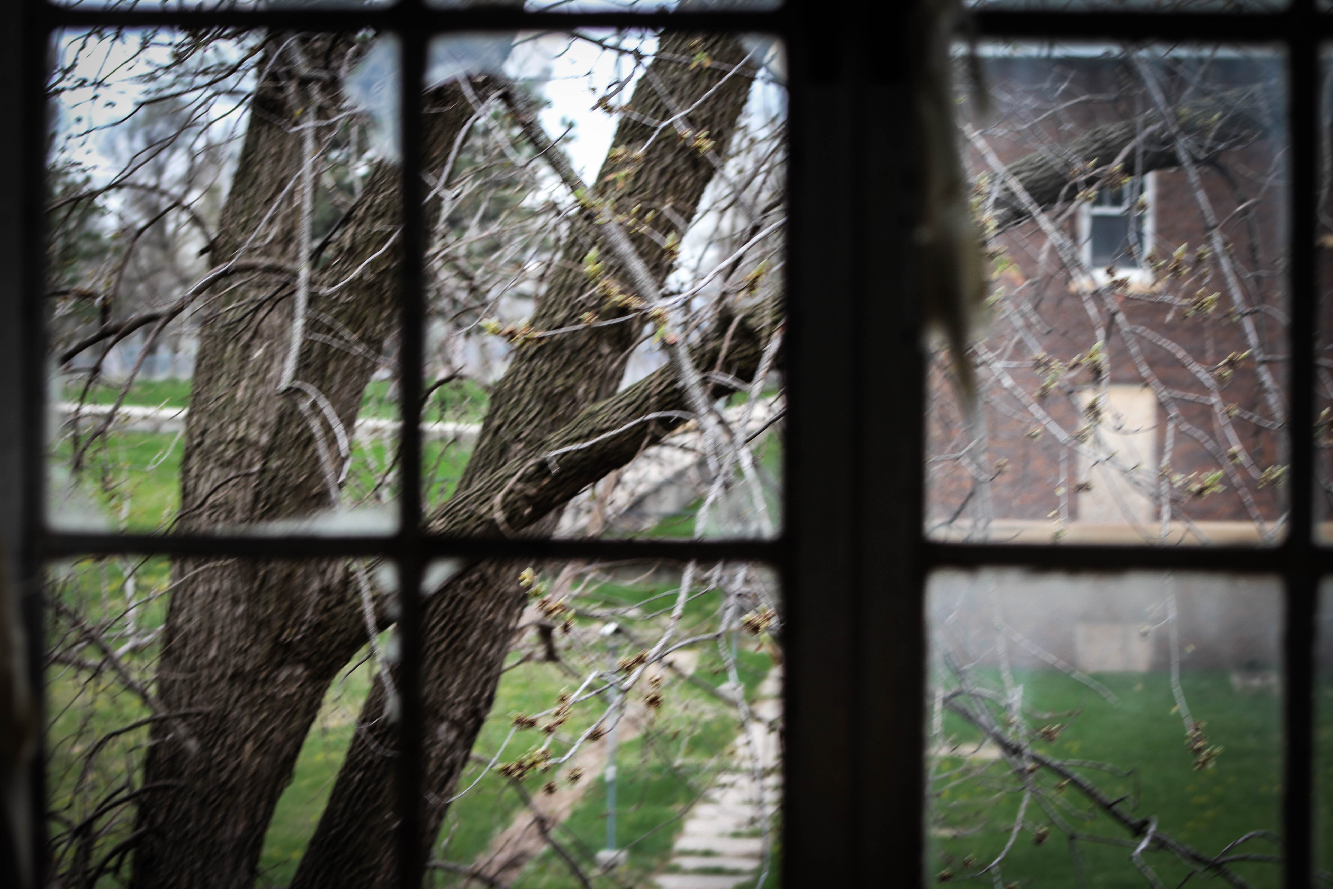 Norfolk Regional Center-Eklund