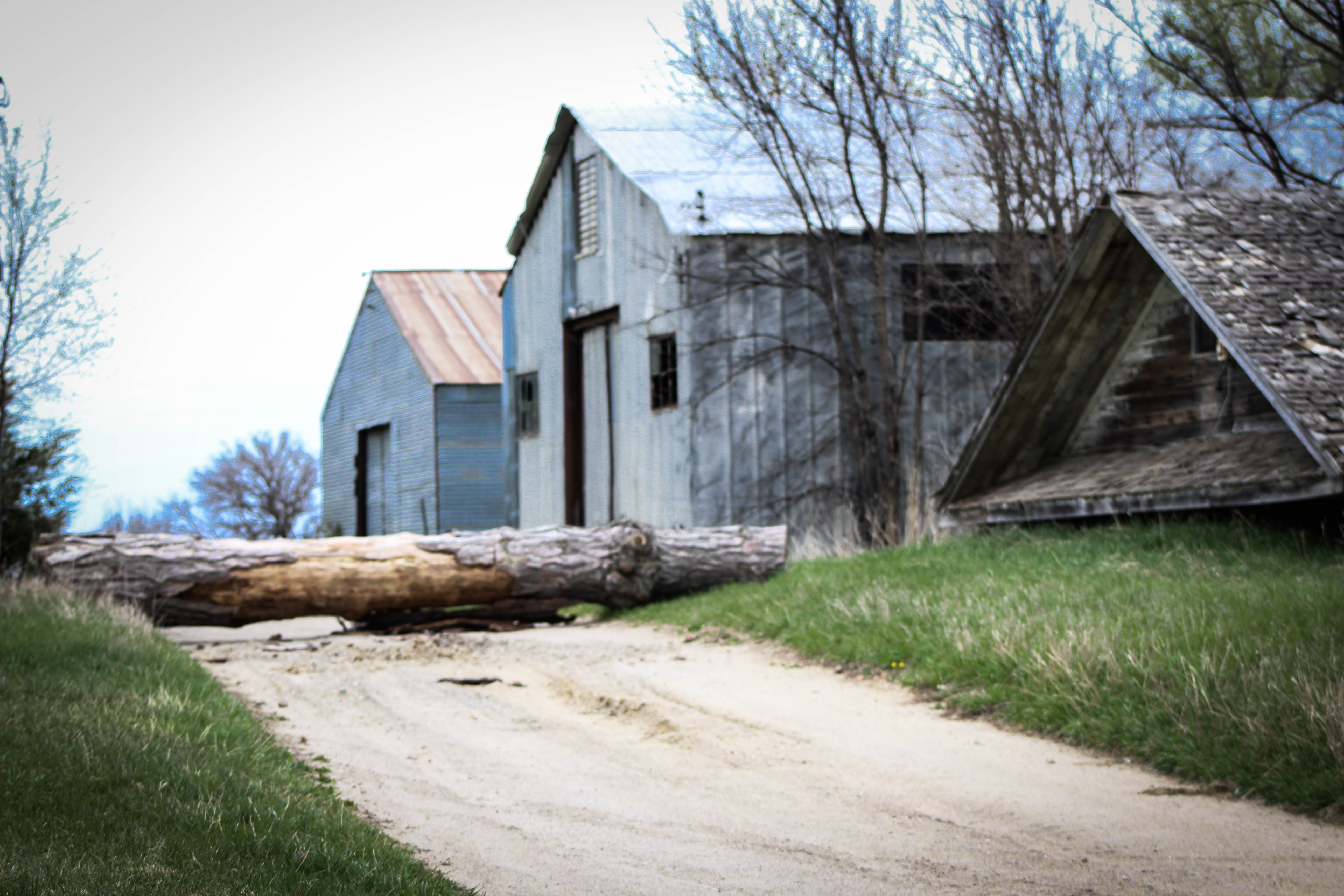 Norfolk Regional Center-Eklund