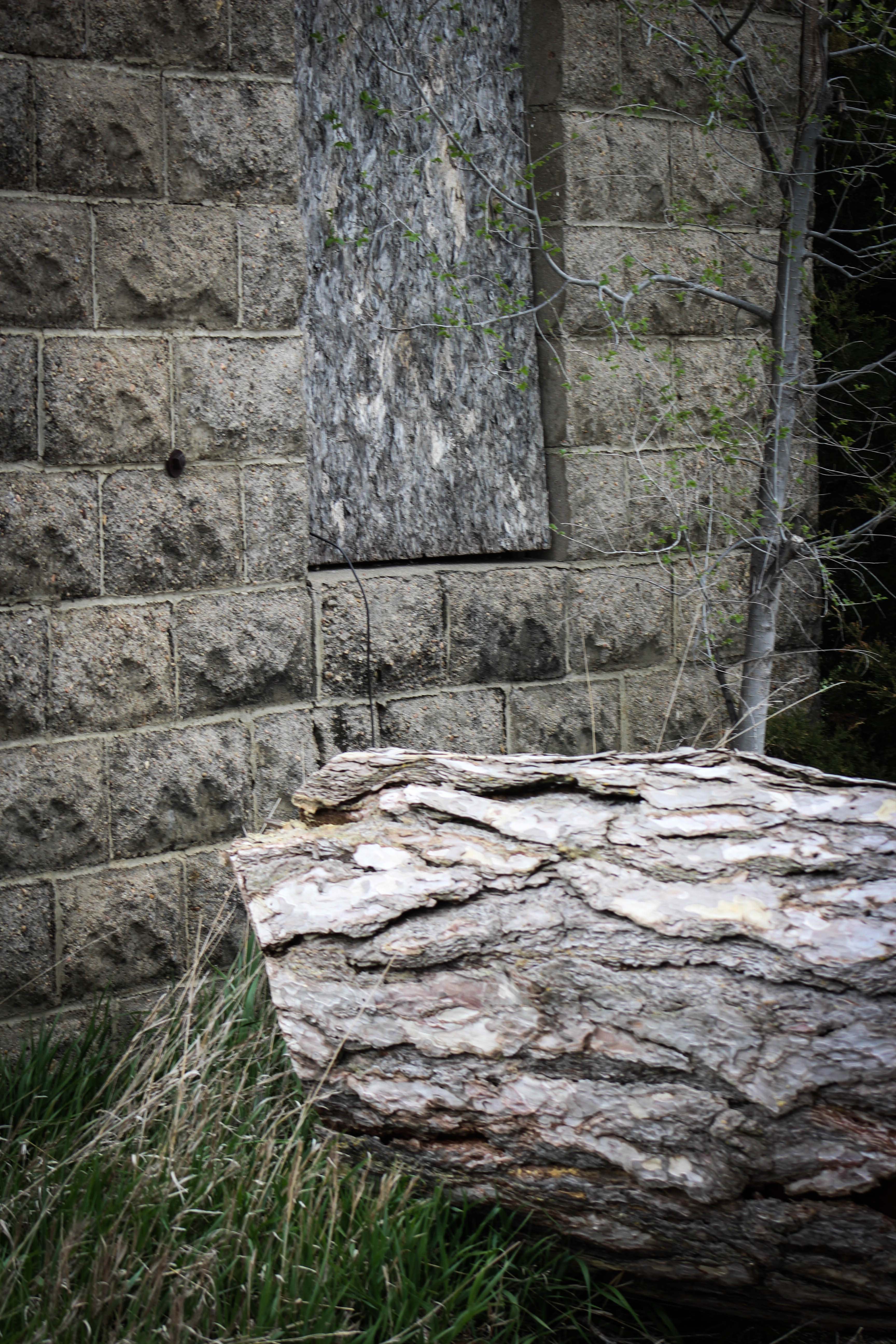 Norfolk Regional Center-Eklund