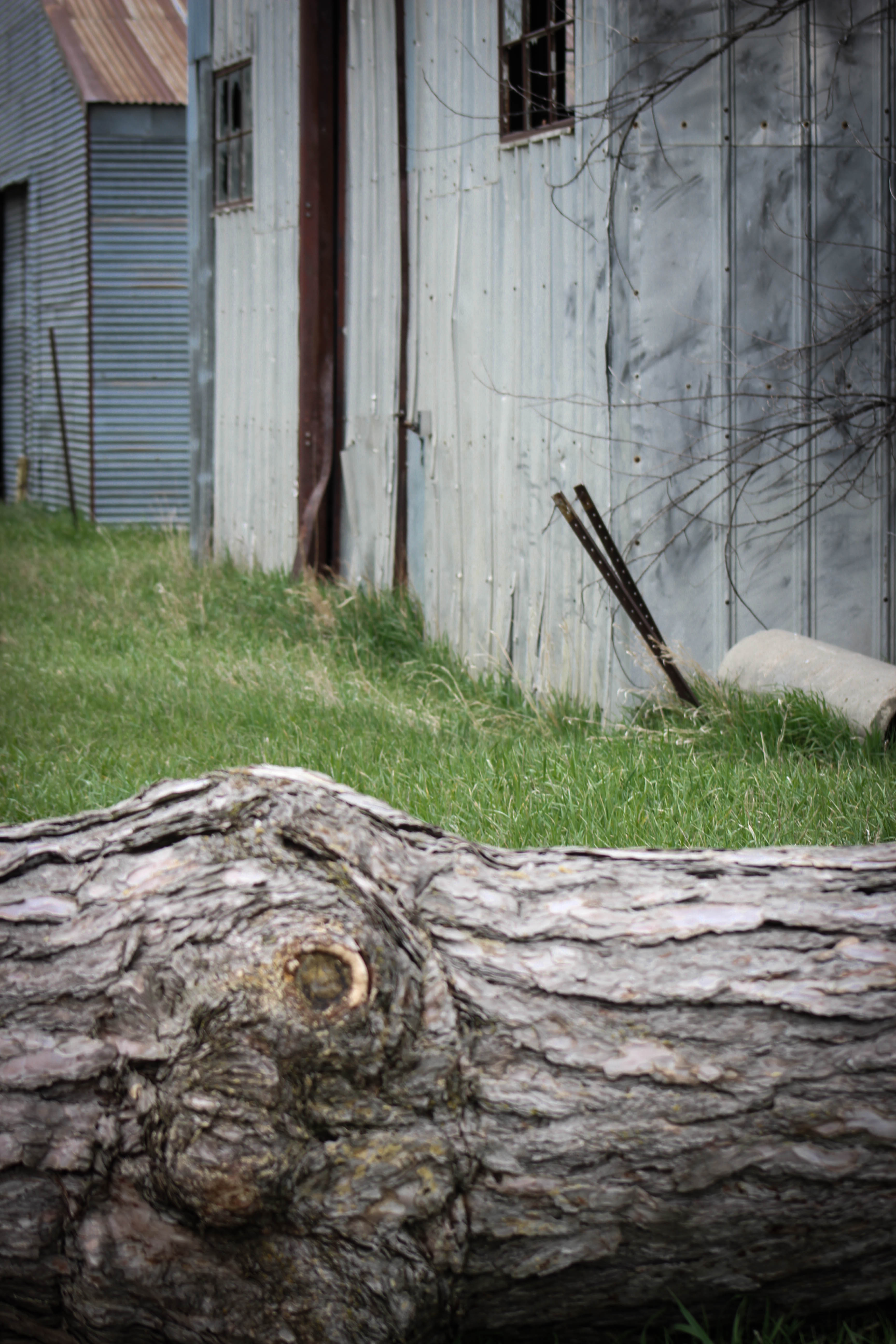 Norfolk Regional Center-Eklund