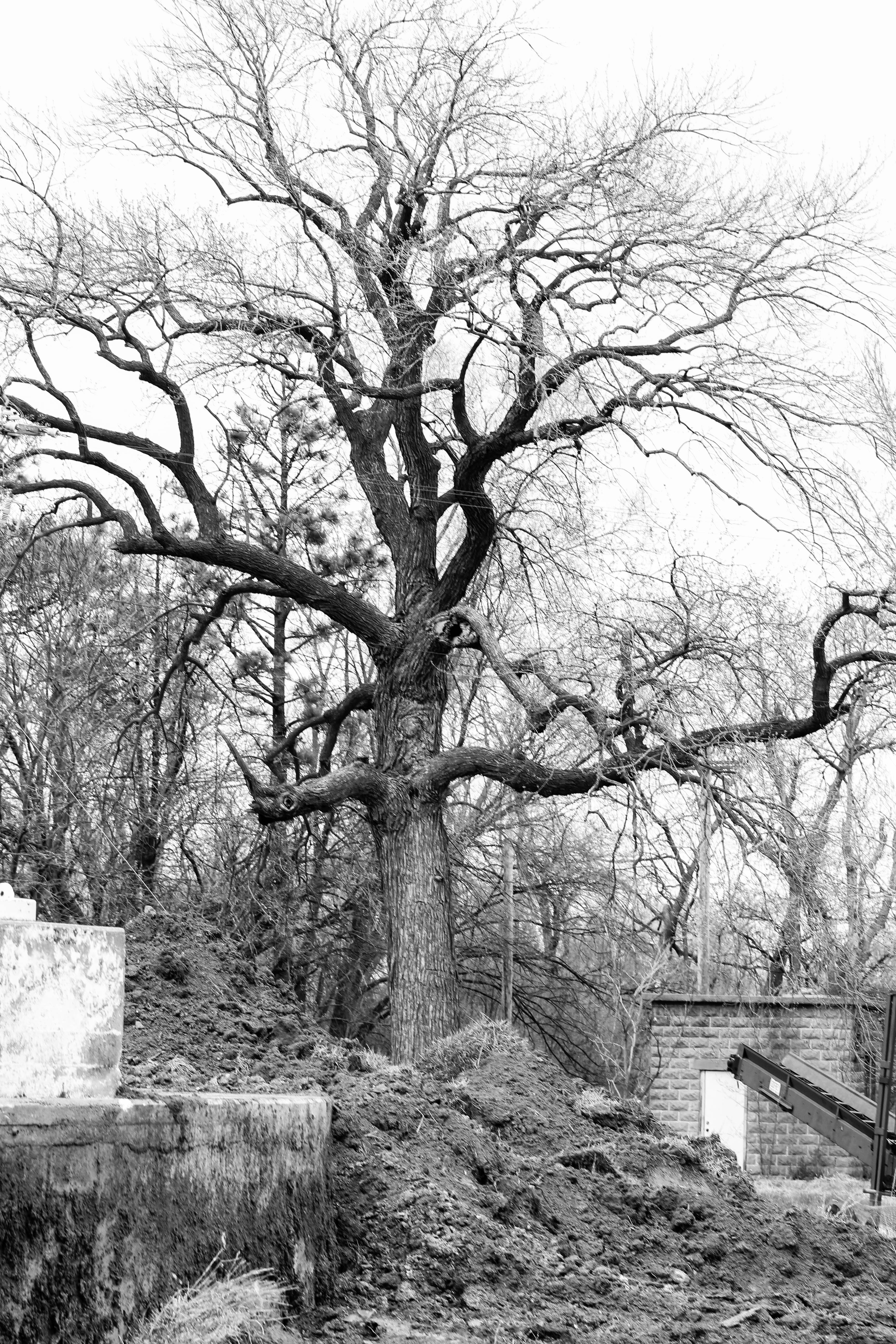 Norfolk Regional Center-Eklund