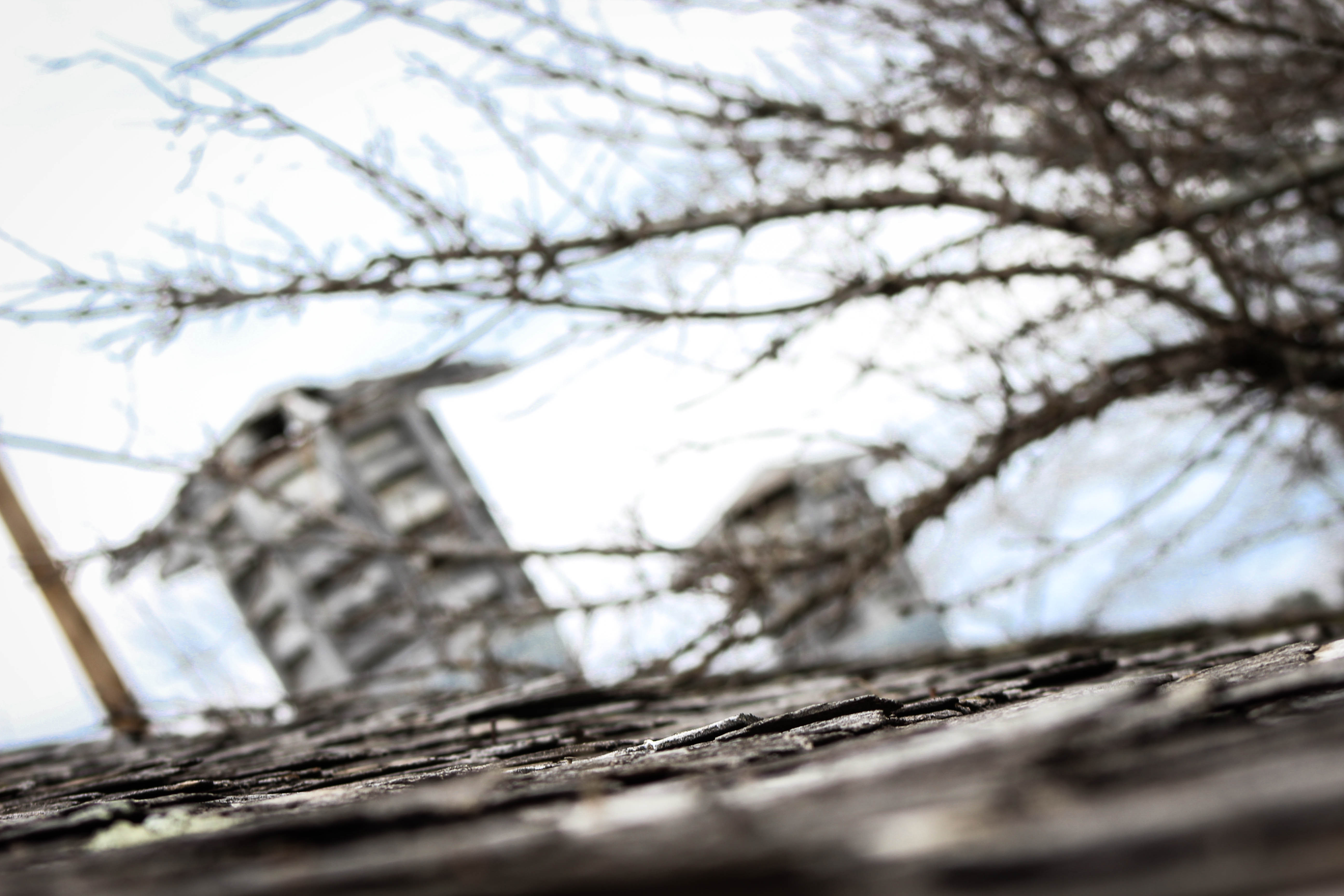 Norfolk Regional Center-Eklund