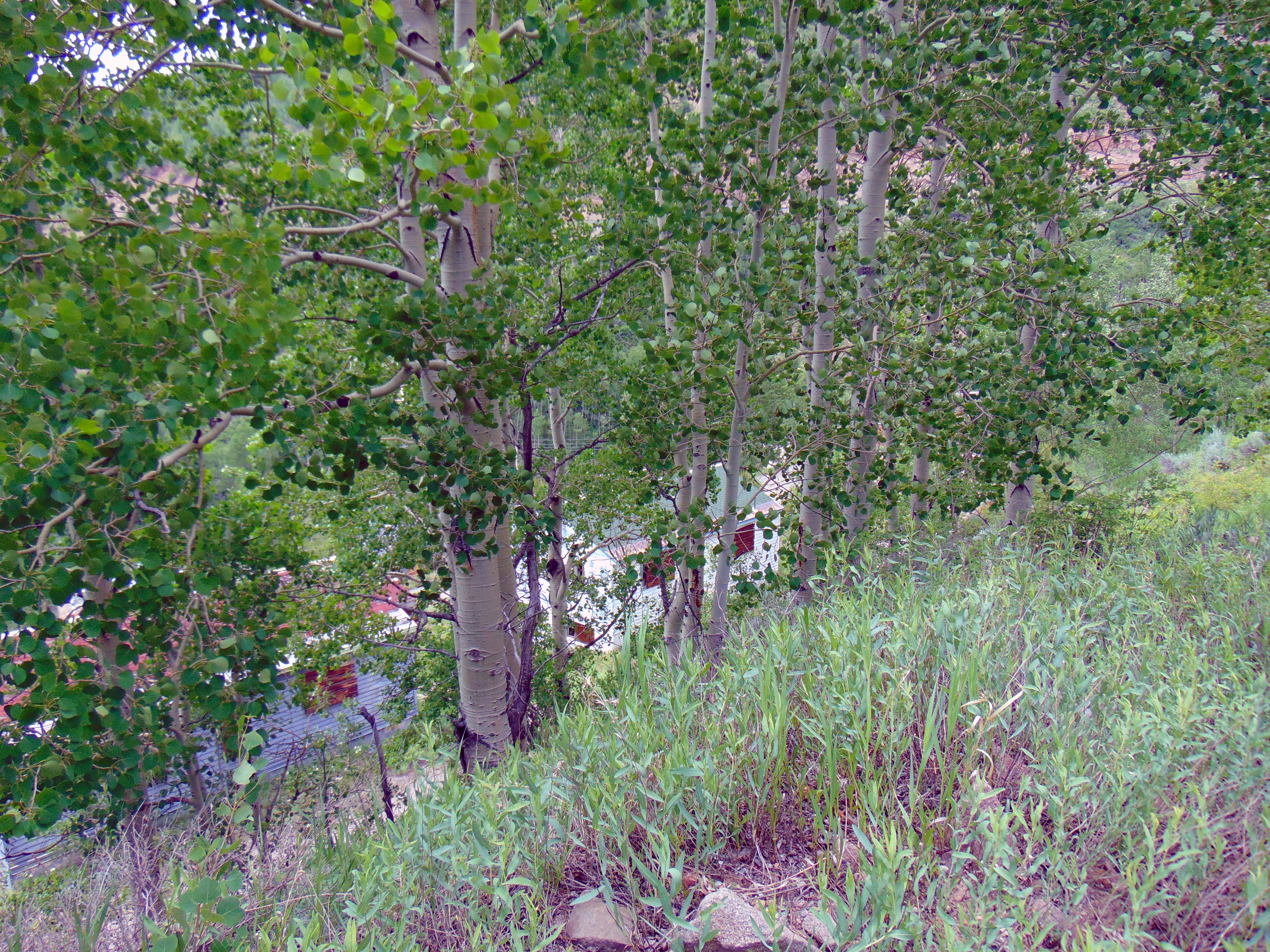DSC02849