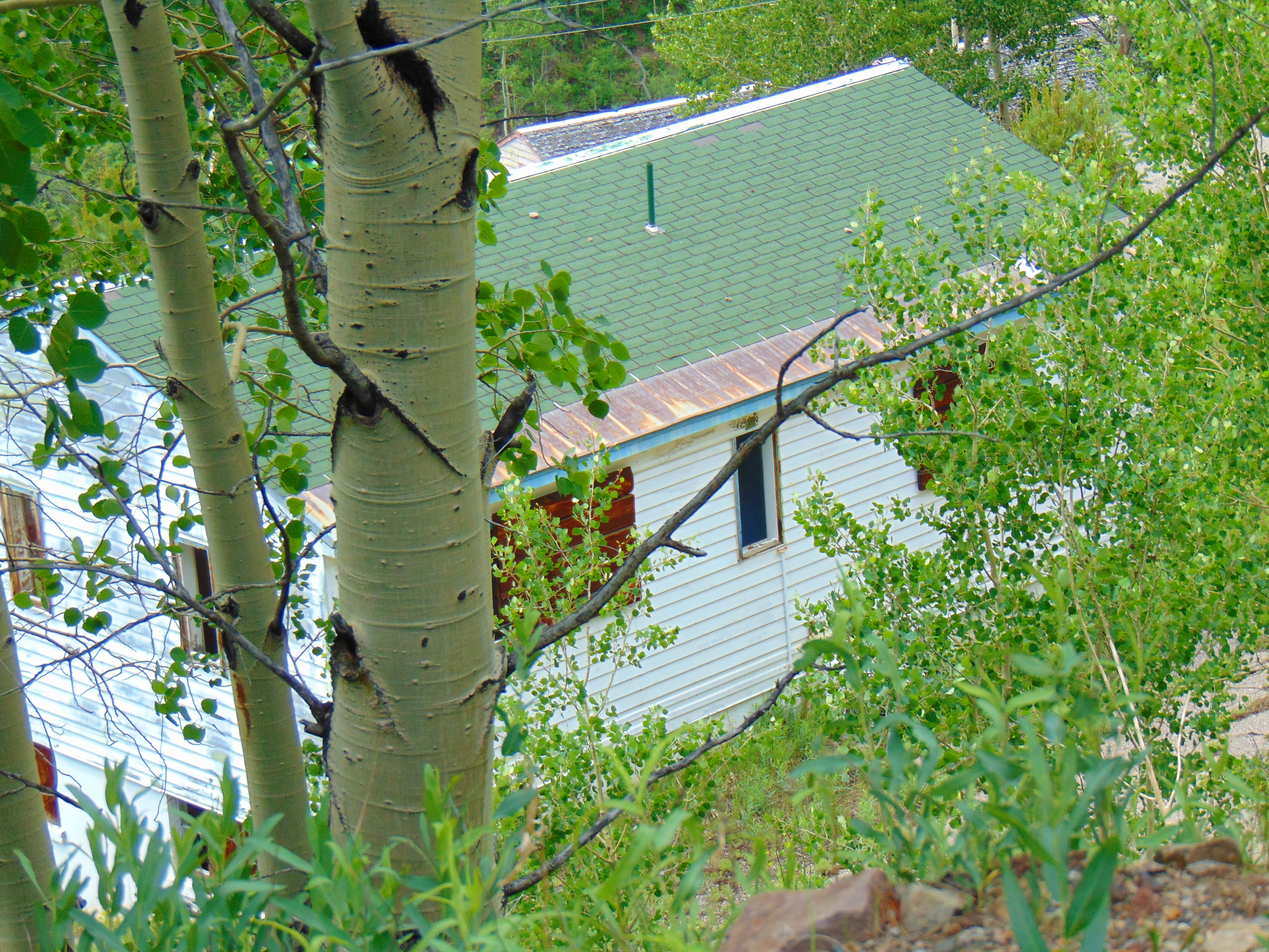 DSC02850
