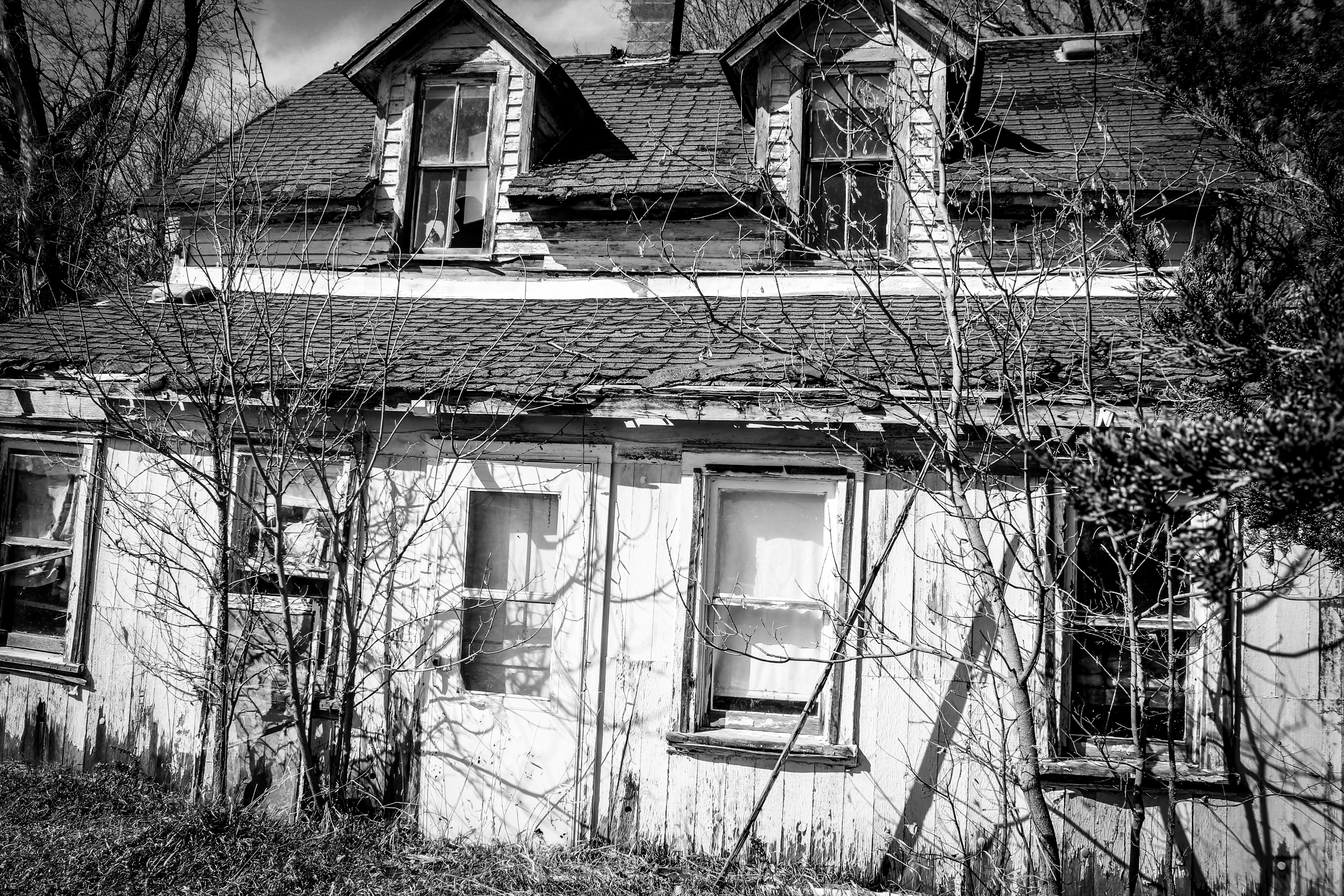 IMG_3046