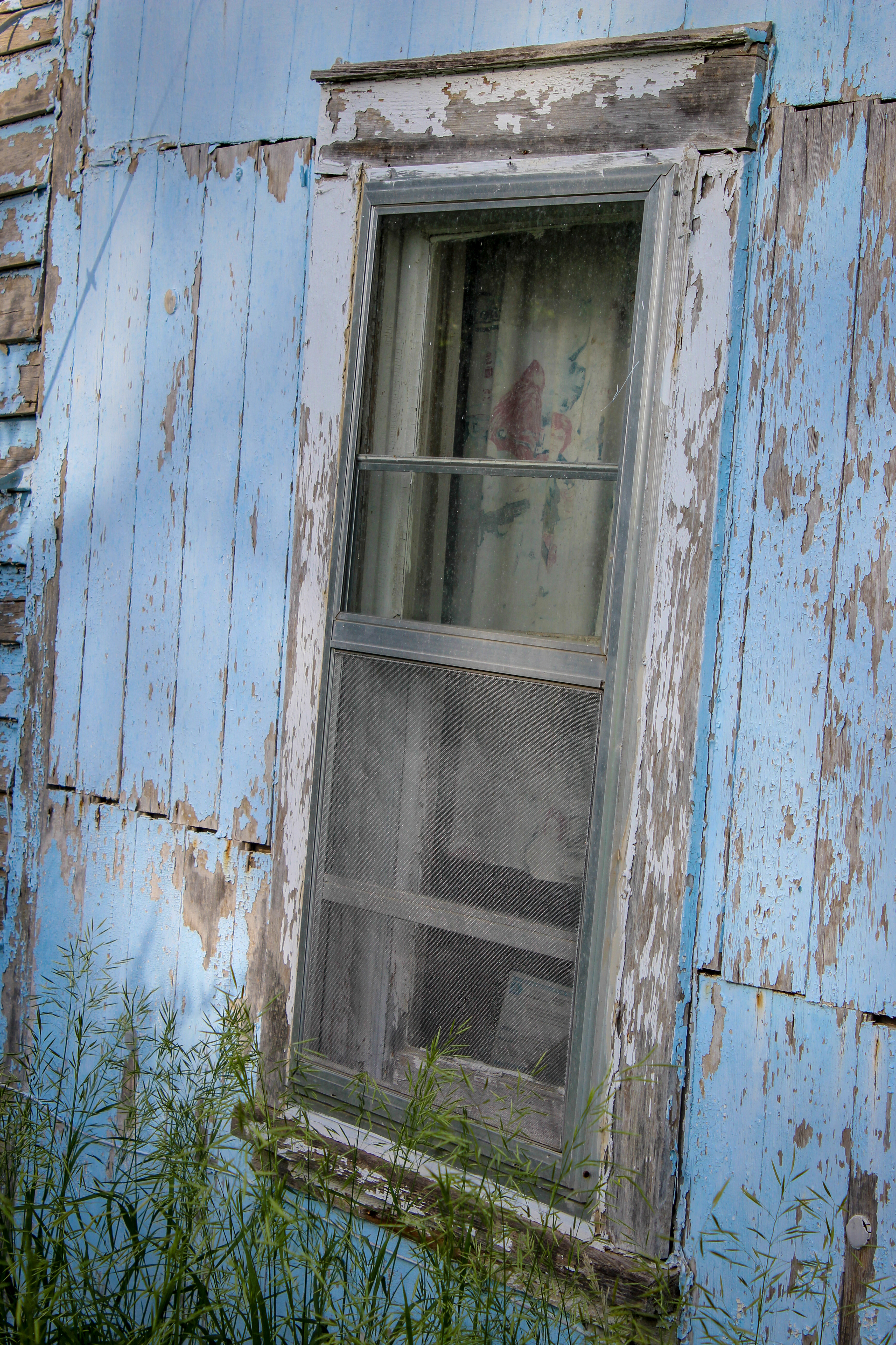 IMG_6281