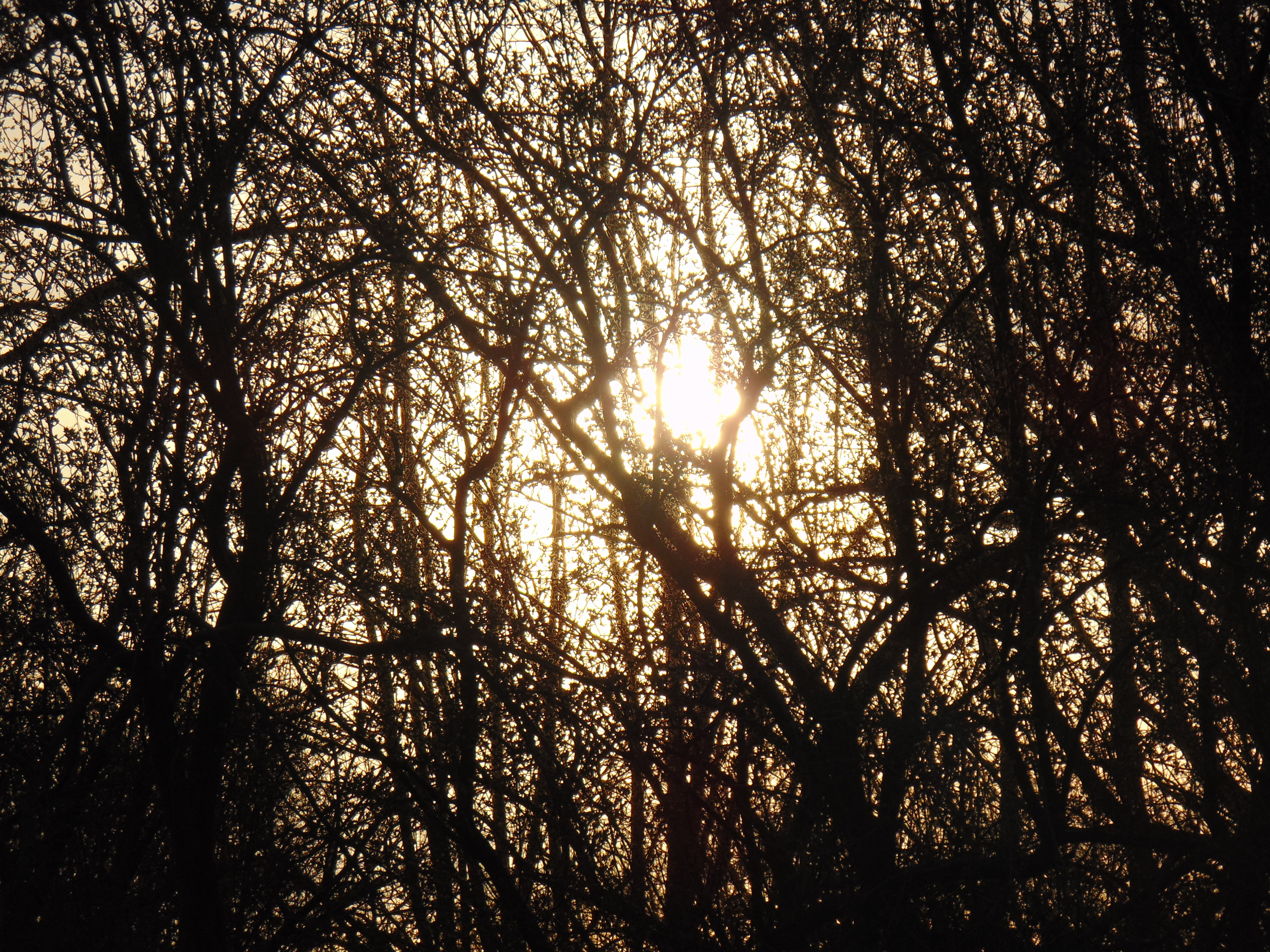 DSC01700