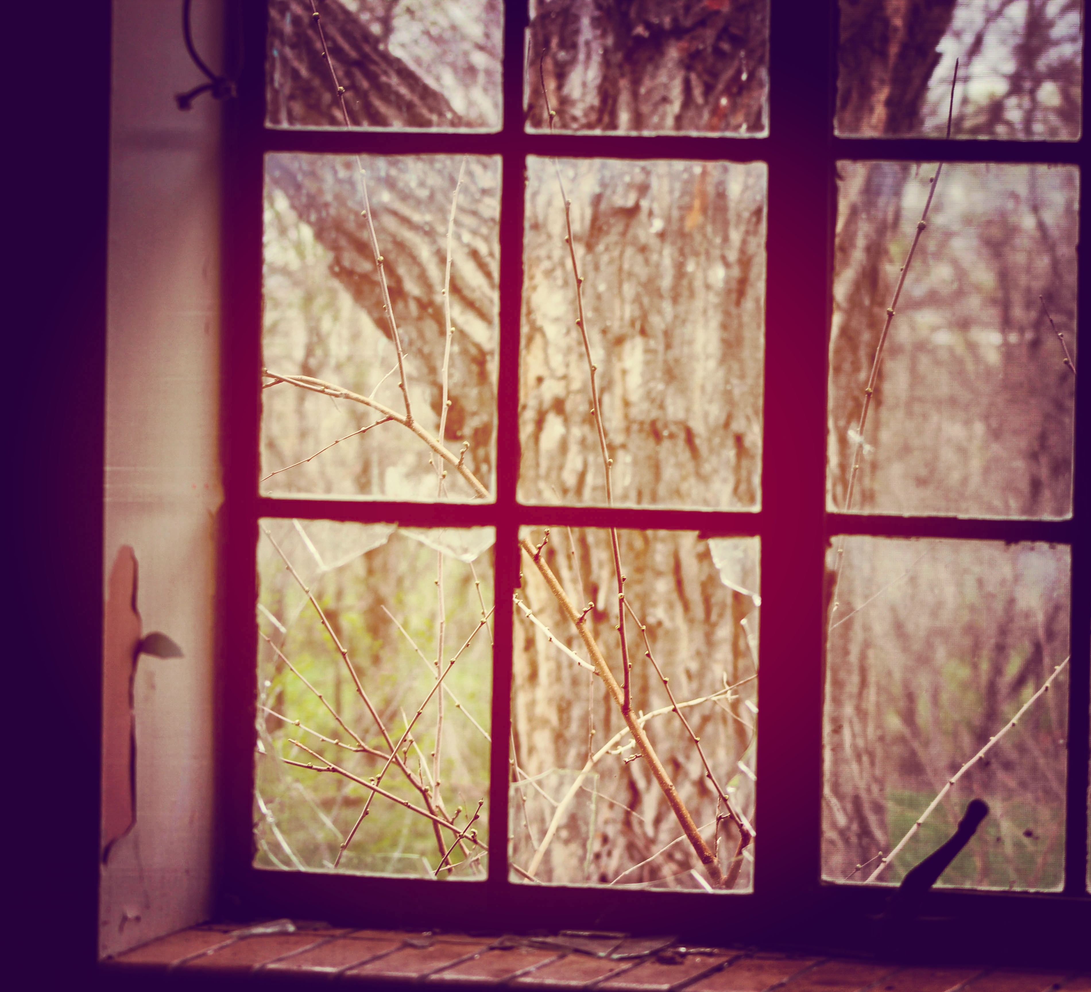 Norfolk Regional Center All buildings but one have been demolished. This was right before they were demolished.