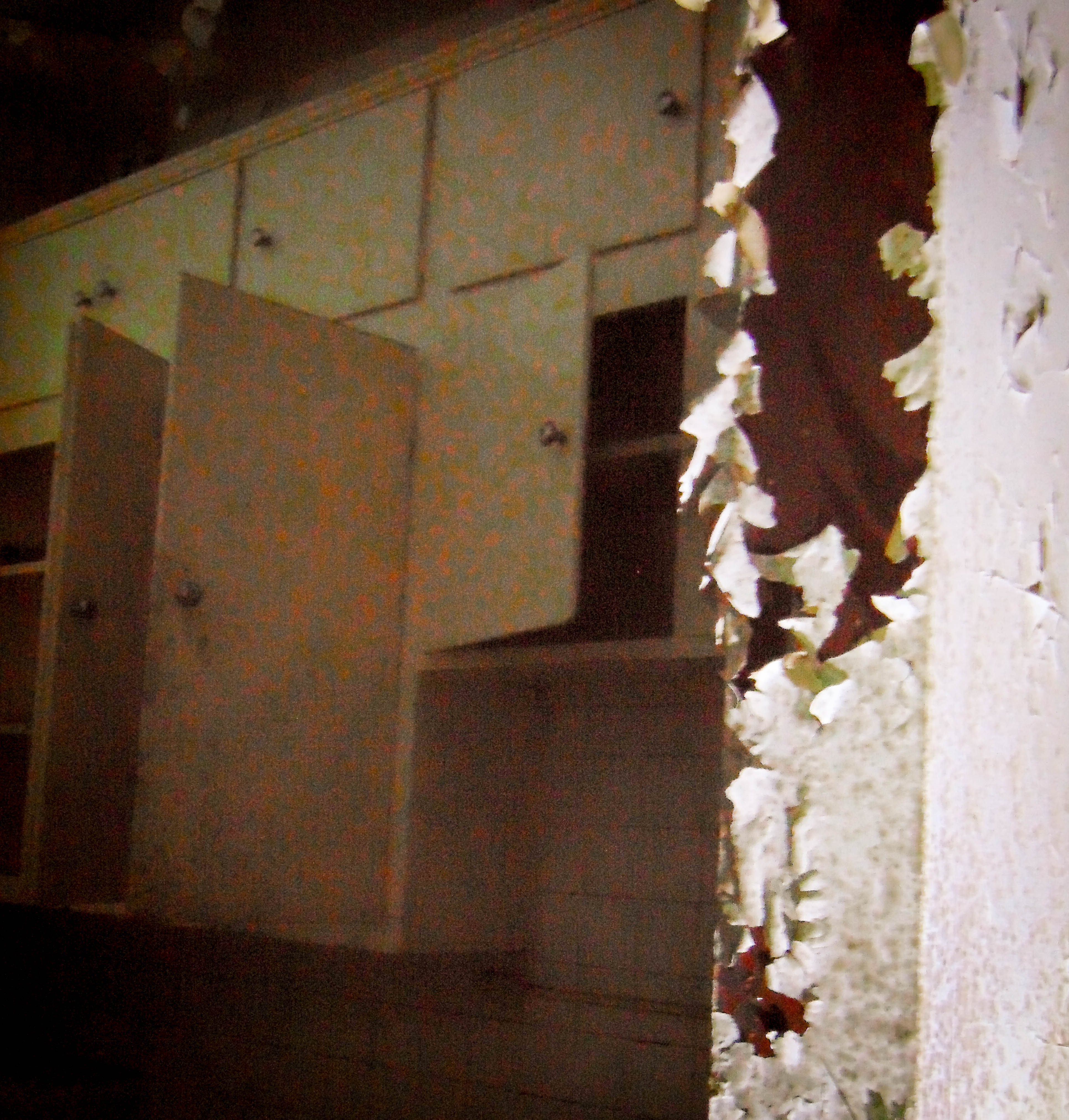 Norfolk Regional Center All buildings but one have been demolished. This was right before they were demolished.