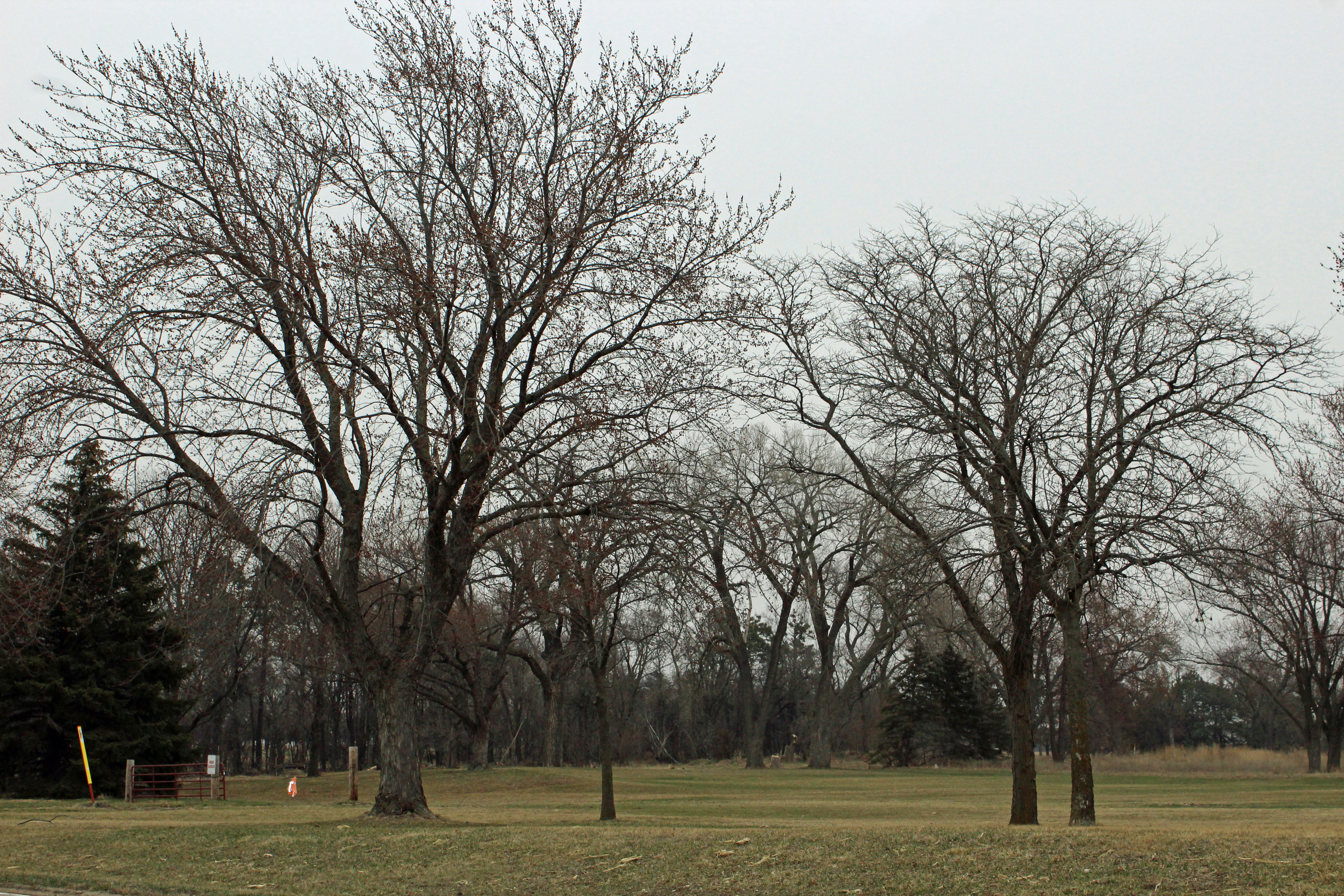 All buildings but one have been demolished. This is after they have been demolished.