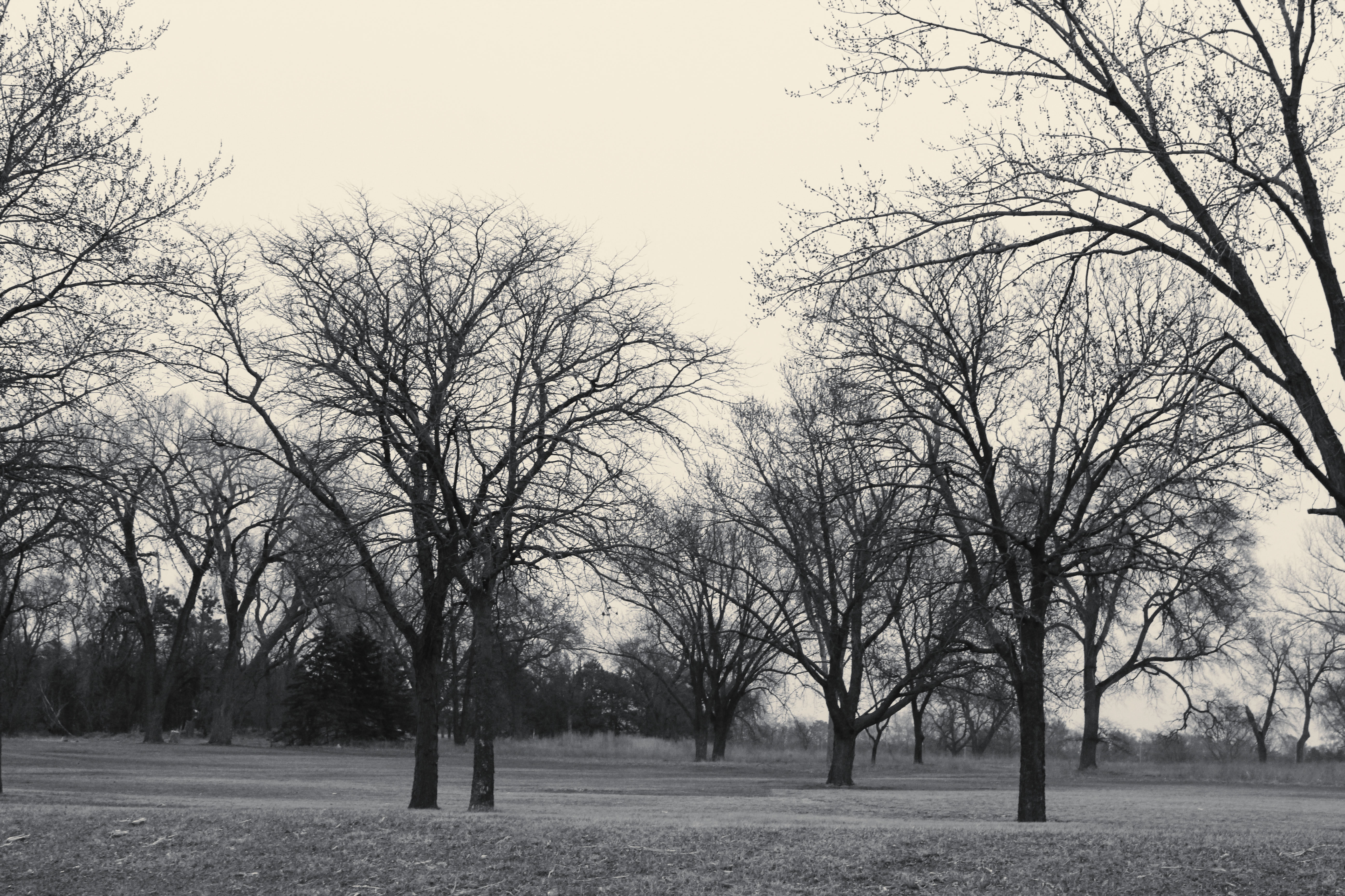 Norfolk Regional Center All buildings but one have been demolished. This is after they have been demolished.
