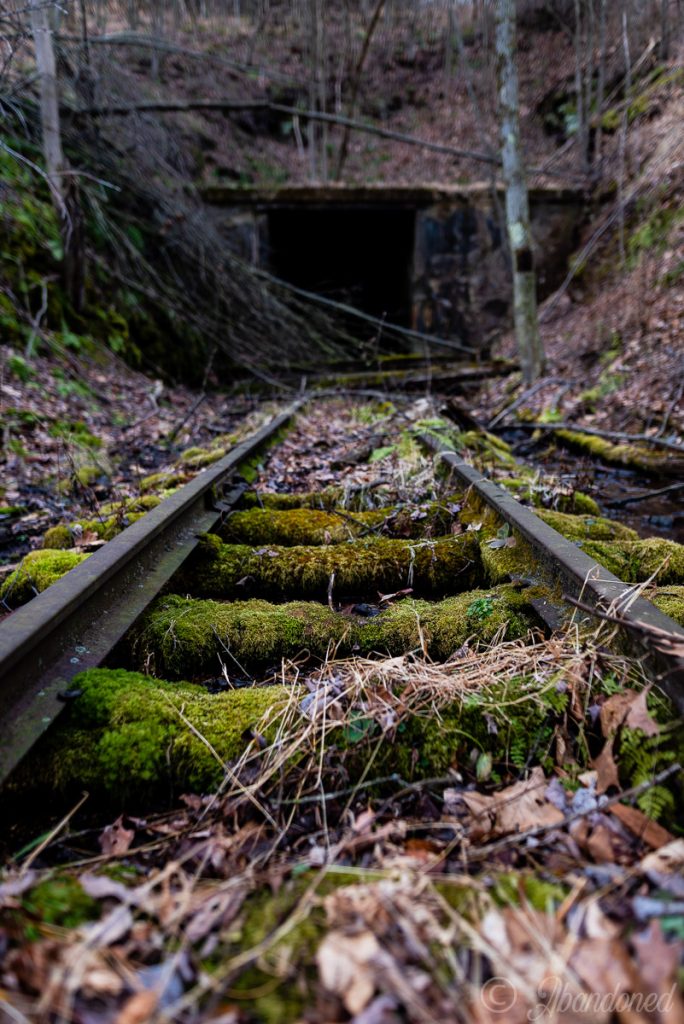 Wrays Hill Tunnel East Portal