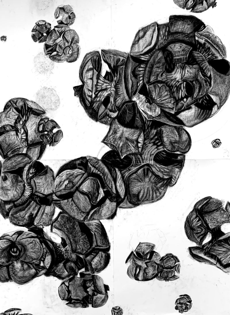 Mbuchwald Mart N Buchwald Github - Premium Ocean Art Gallery - High Resolution